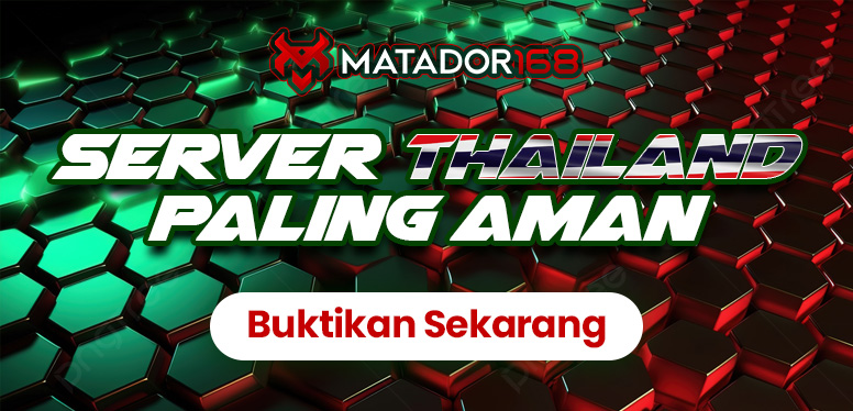 privacy policy server matador168